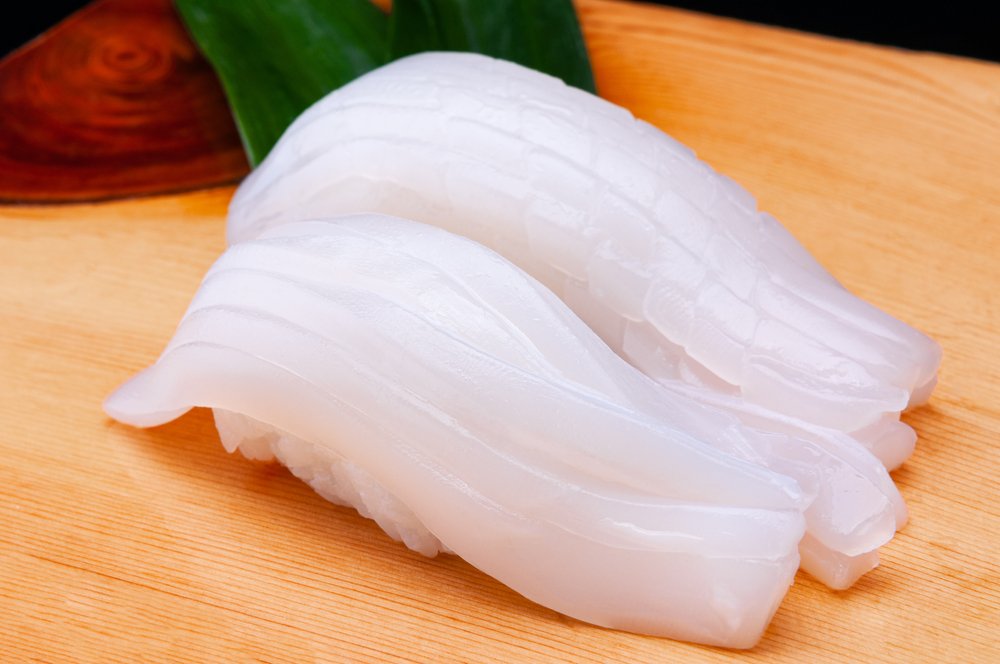 Squid